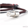 Acoustic Signature TA-2000 NEO Tonearm - accessories - AudioQuest Golden Gate Turntable