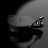 Acoustic Signature Merlin Neo 30th Anniversary