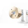 Acoustic Signature Merlin Neo 30th Anniversary