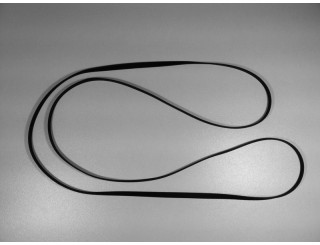 Pro-Ject Perspective turntable belt Pro-Ject Perspective turntable belt