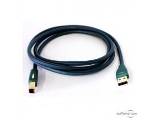 Câble Audioquest Forest USB Câble Audioquest Forest USB