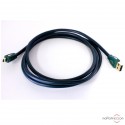 Audioquest Forest USB cable