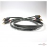Câble de modulation Wireworld Terra Câble de modulation Wireworld Terra