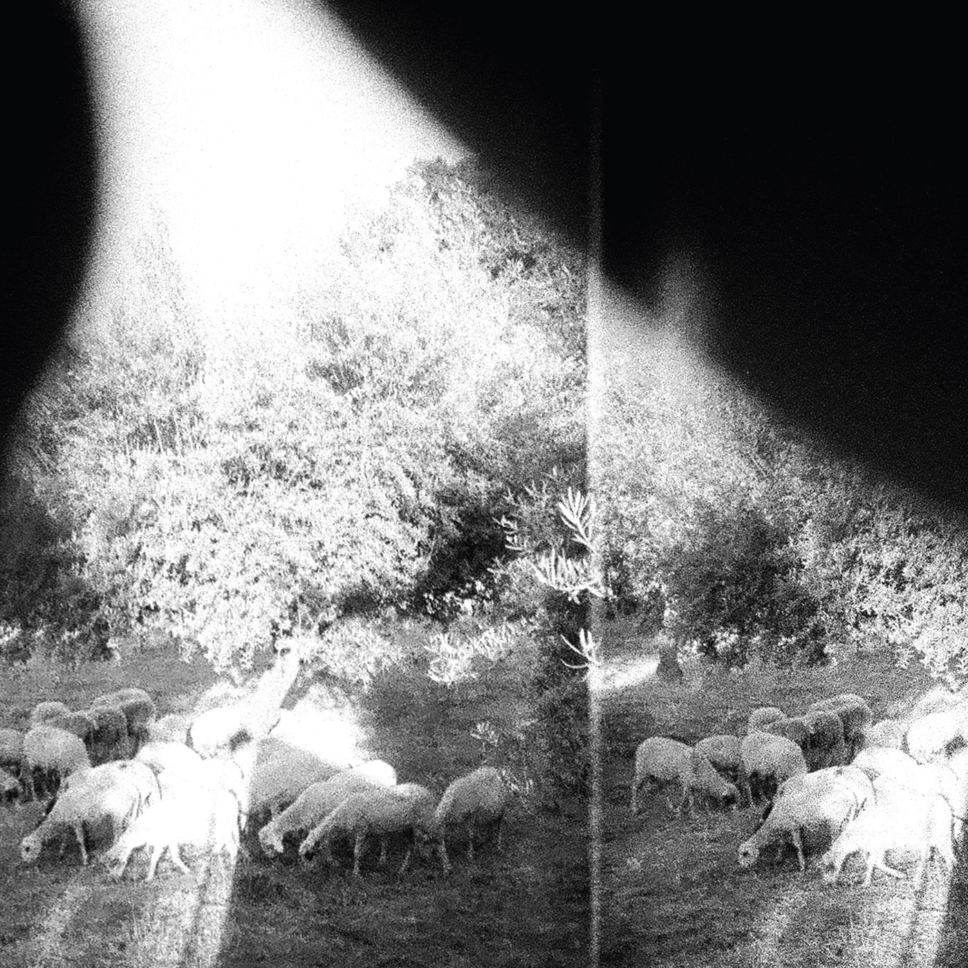 Black emperor - The pale Emperor