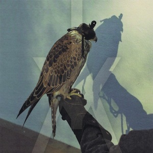 Iceage