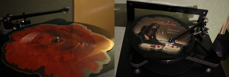 disque vinyle fleur sur rega rp10