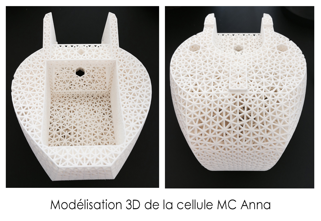 Modélisation 3D de la cellule MC Anna Heritage